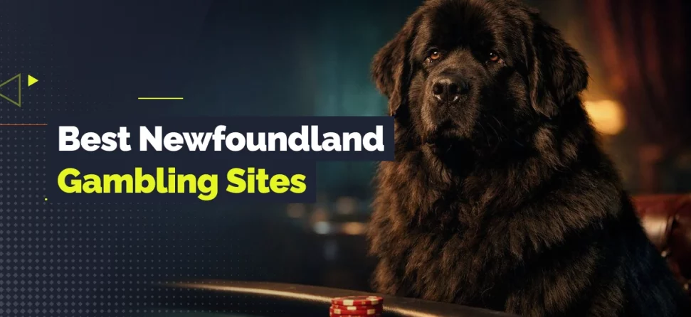 Banner for best Newfoundland gambling sites featuring a large Newfoundland dog sitting beside a poker table with stacked chips, with bold promotional text on the left.