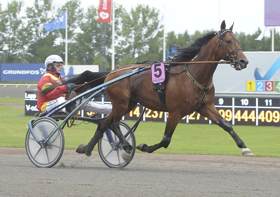 Man and horse participate in Trotting race