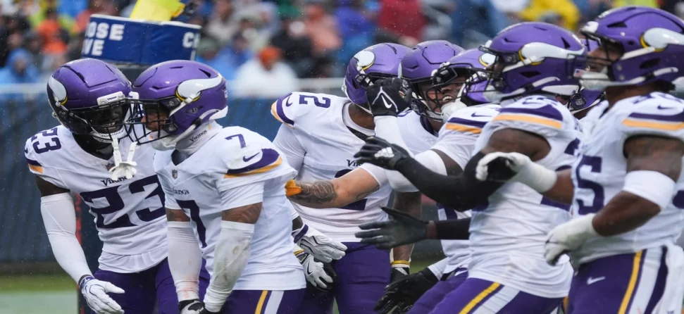 Minnesota Vikings defense